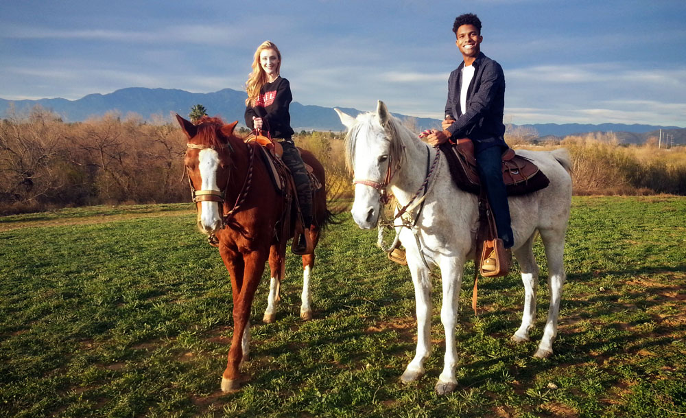 Sunshine and Daydreams Horseback Riding main image